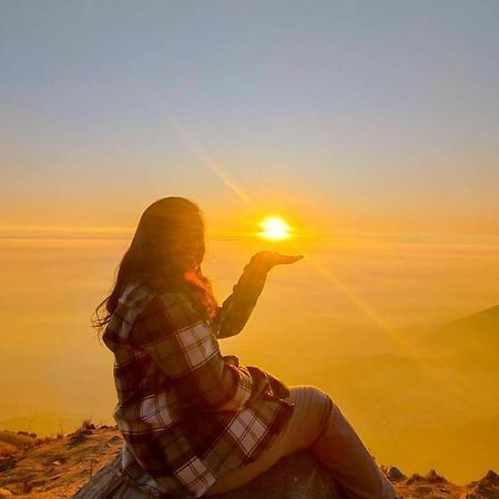 Triund Trek Hotel Dharamshala Ngoại thất bức ảnh